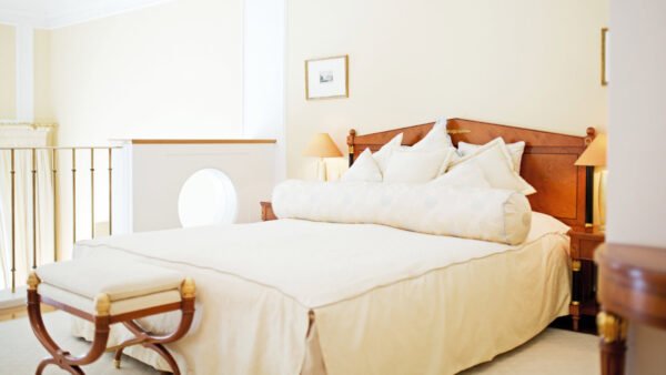 485677401 1214023050732647 524920993572837692 n